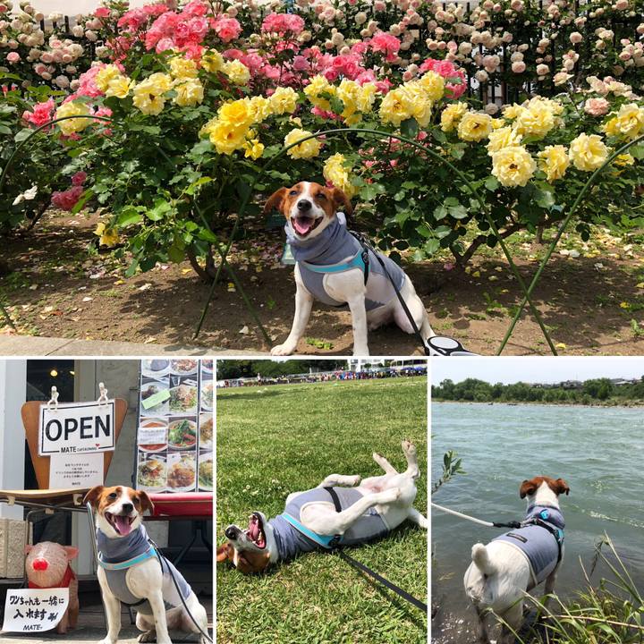 96d01e2e 9831 4b4a 820a e6e67179e0d8 1558876430915