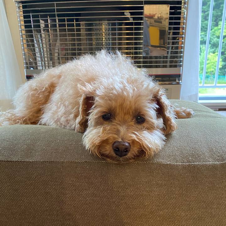 96d08b48 1e2c 4a2b 8cd9 25eb802df8f8 1692137688488