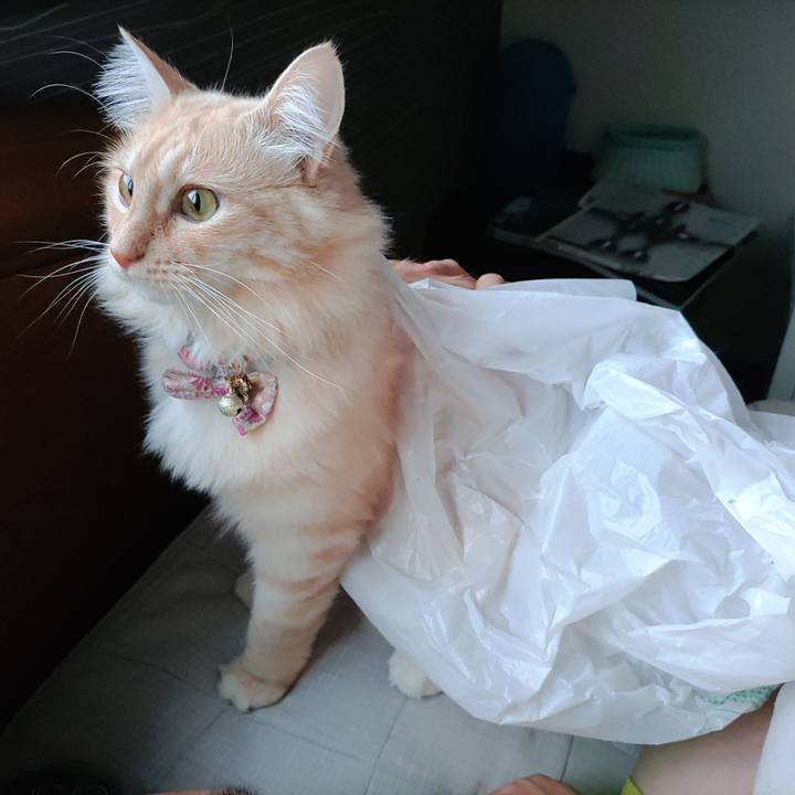 96d08c95 7aa8 47f2 9c71 8449001345eb 1666392843163