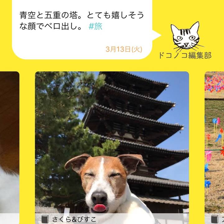 96d0b5c3 3e93 415c b9ba 3389d2f8202b 1520906786729