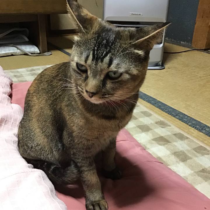 96d0bd64 3e42 4d71 8e02 ba6cb622a41d 1642324265197