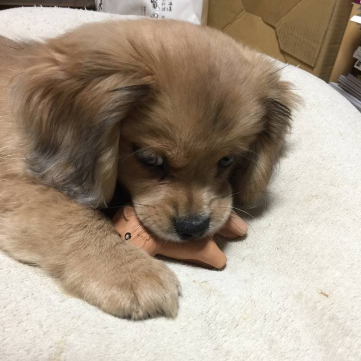 96d0cc17 a8db 4e08 a741 9a5fb4842951 1537219819047