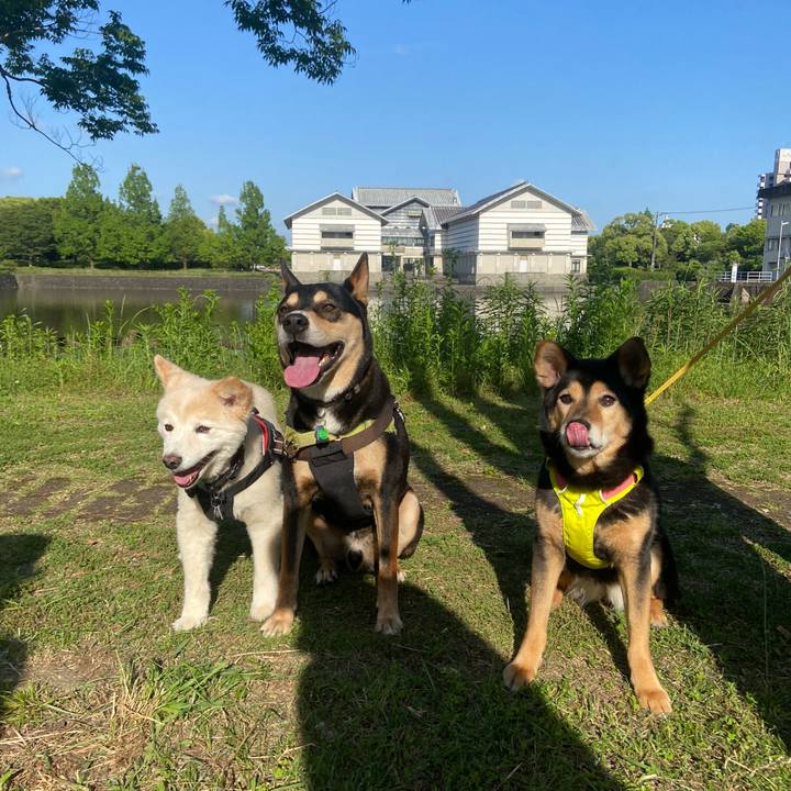 96d0ef7c bd21 4f33 844b 84153aae5598 1714812912509