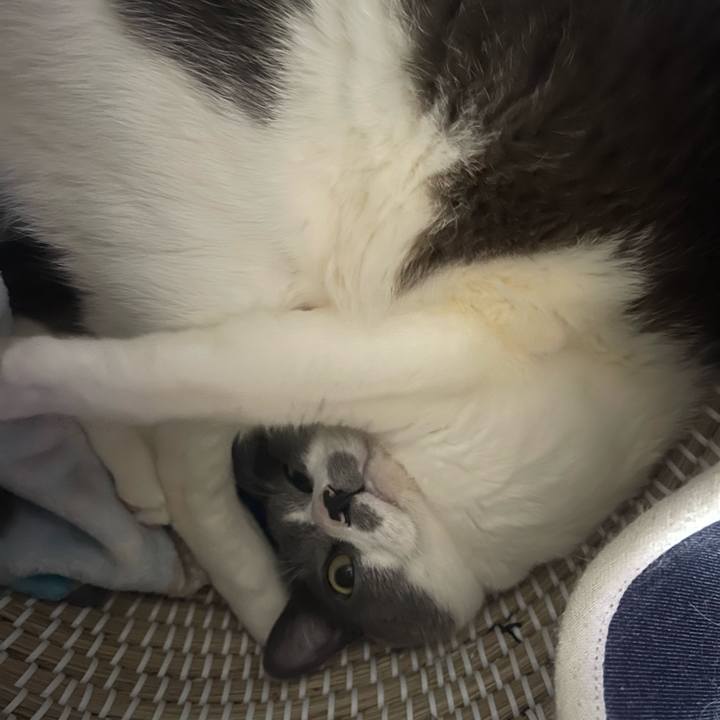 96d0f881 c84d 4b73 934b 75e9c62afd38 1715495845789