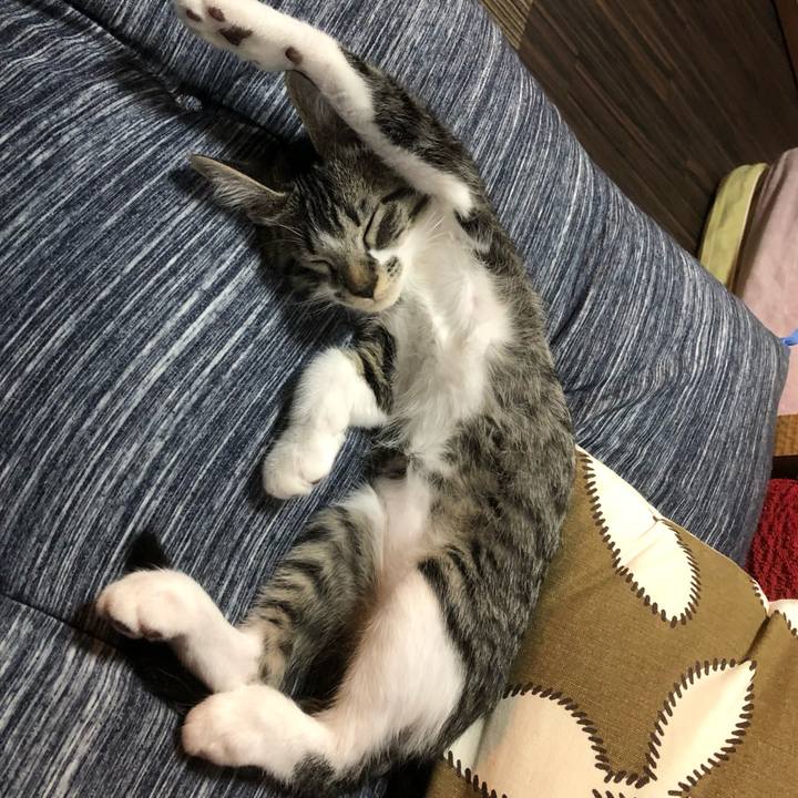 96d10b1c 02d0 44ea aac0 21dd0f1e67fd 1636454615530