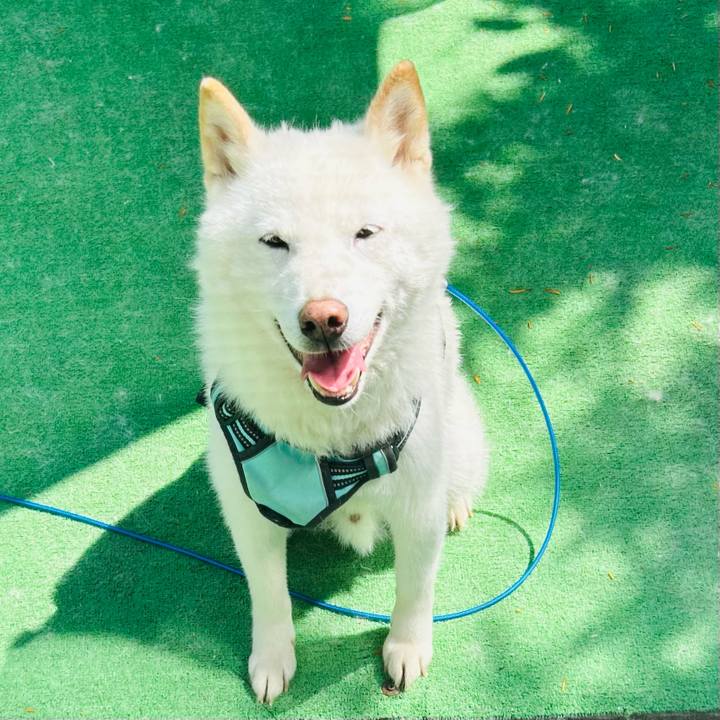 96d112ae 5f02 473a bb8c cacef78161d7 1687671257373