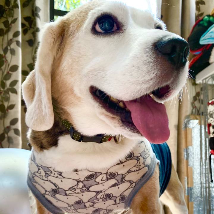 96d14d85 7ac1 4470 b190 acc347ebbf19 1649735105192