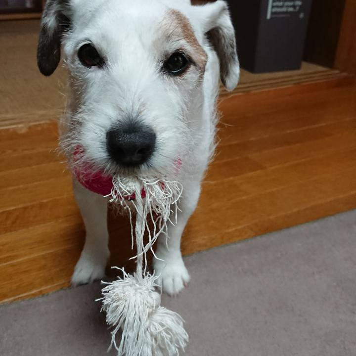 96d15128 feda 4983 91f8 c0ce3506abe4 1523138658383