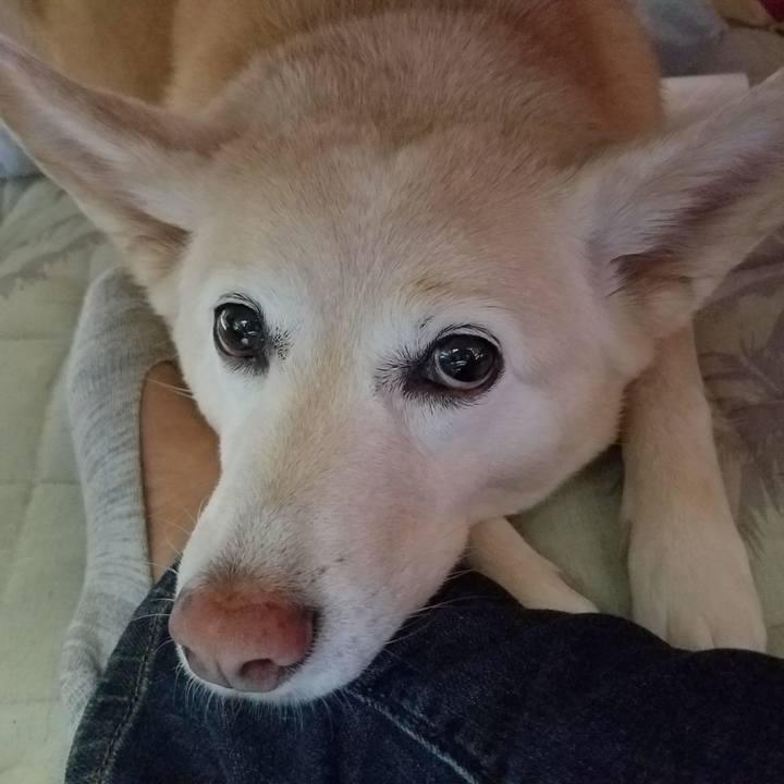 96d16526 a807 4796 ac0a 34b543316fec 1534814308154