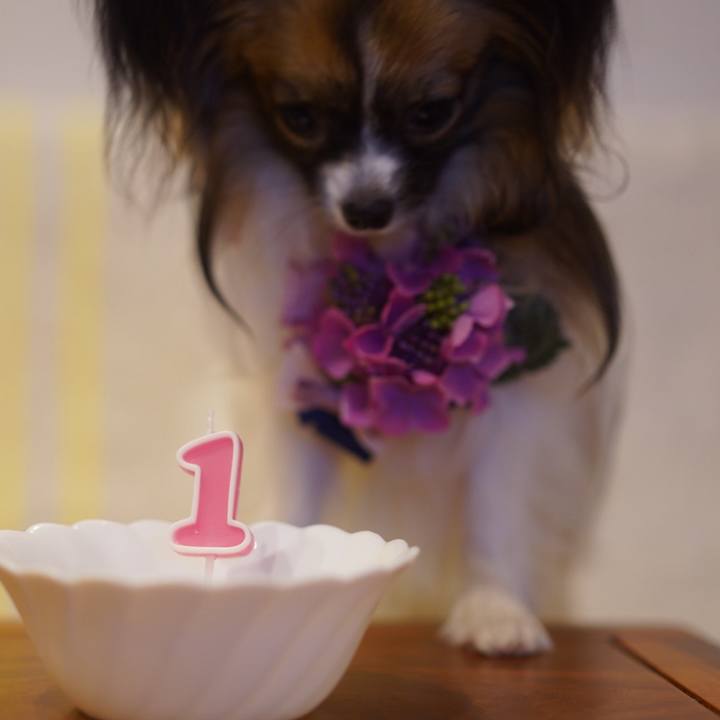 96d166a2 741b 4e1a b975 625204f01ea0 1718715299882