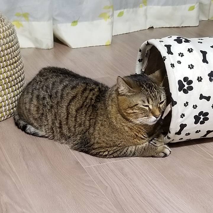 96d16b29 d335 4037 b2af 7b7d34959cd6 1552213432138