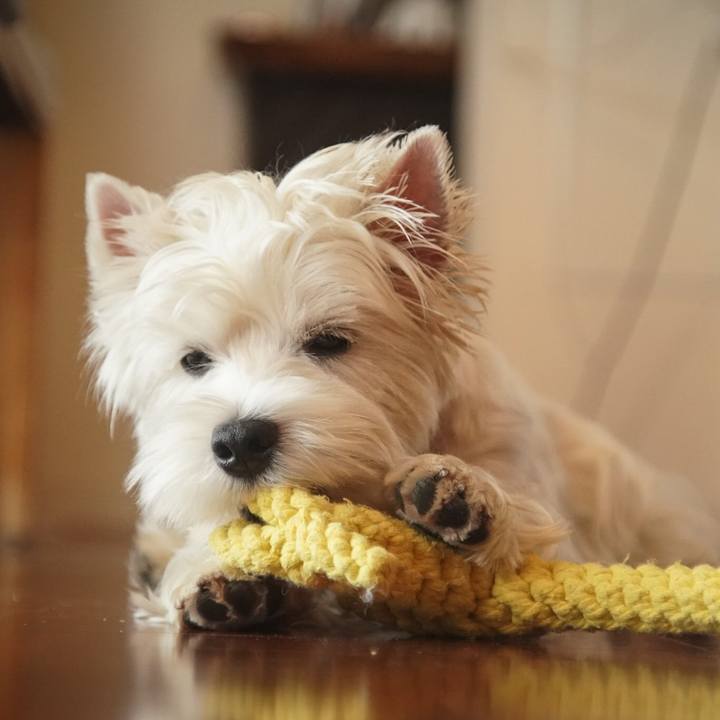 96d17662 7040 4cd4 a220 2f8399f27d1b 1535113707768