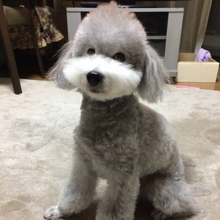 96d17ceb 29be 49bd 9722 1a6171e59c32 1748856234162