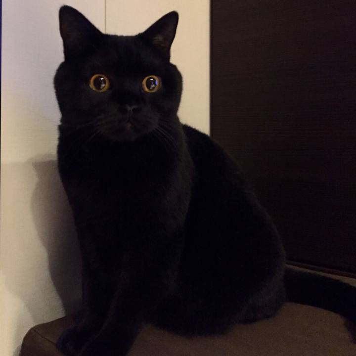 96d1b309 1e4d 4130 9cc8 e3d9e06b1184 1574690111005