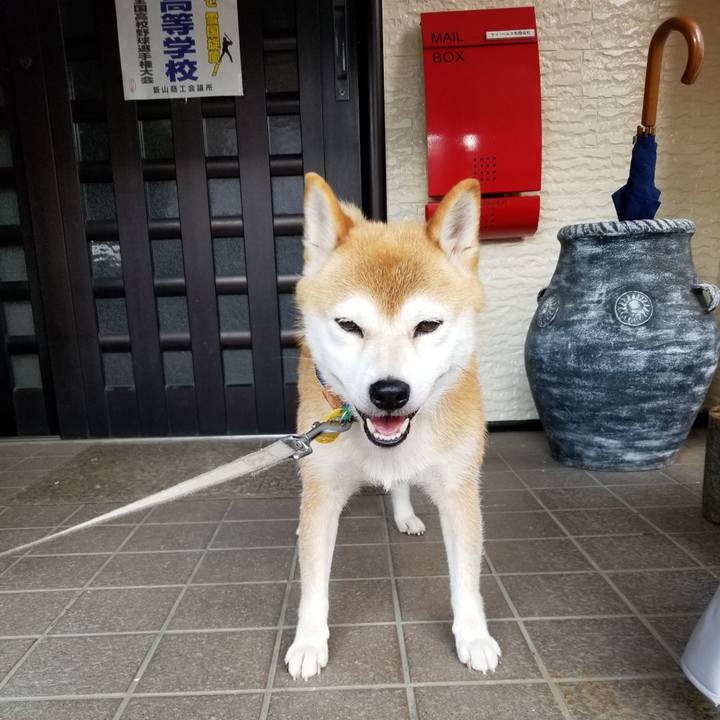 96d1c89c 6547 4104 ba5c de778aea508b 1564310075884