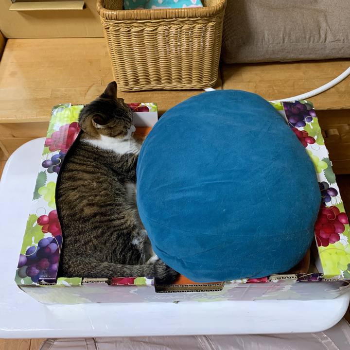 96d1e18a f4b8 4896 a6f0 dc8f8ee68b89 1665143745977