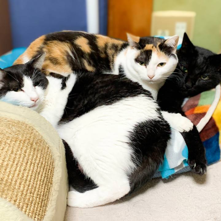 96d1f134 ff8f 409e b477 94a5cf113e86 1576630408306