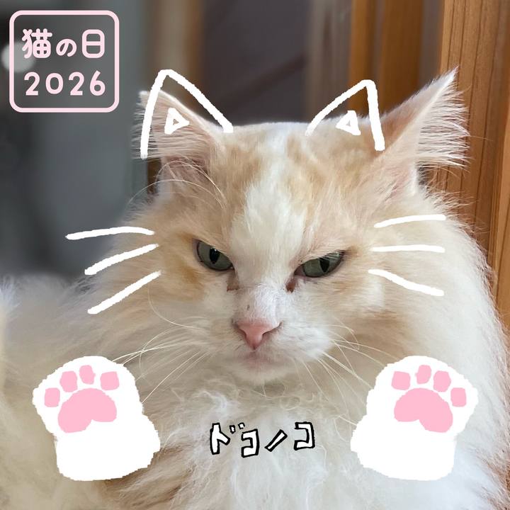 96d1f9d9 8cff 497d 8223 6ced1ff80198 1771715589691