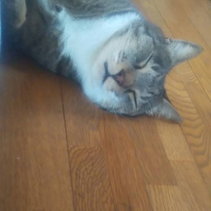 96d27c7e daf4 402e a5b4 ce053e8e0d87 1688289539501