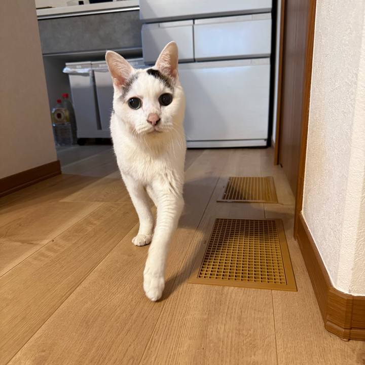 96d29972 2cf7 4b96 8272 de087d6507e1 1765417960429