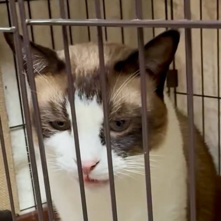 96d299f3 defb 4a5f abc3 509189caadcb 1754308738342