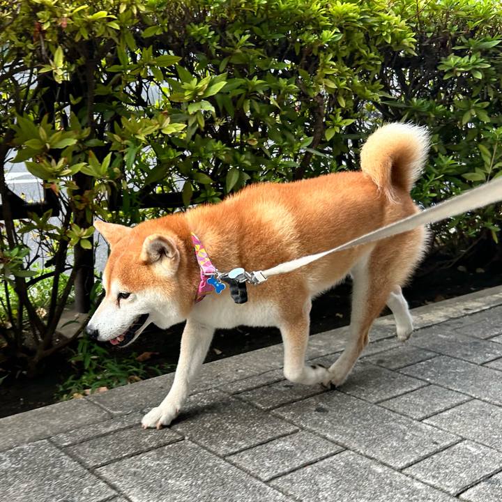 96d2ace4 c821 43c8 90b8 968728db1efd 1758545448444