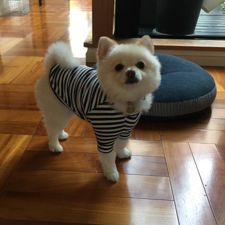 96d2b2d0 4d36 491a 9fca 49f0eba15b0f 1604015282883