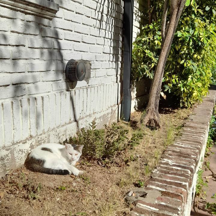 96d2c4ce d068 4bab b0ef 6a92407e7cc9 1770989588910