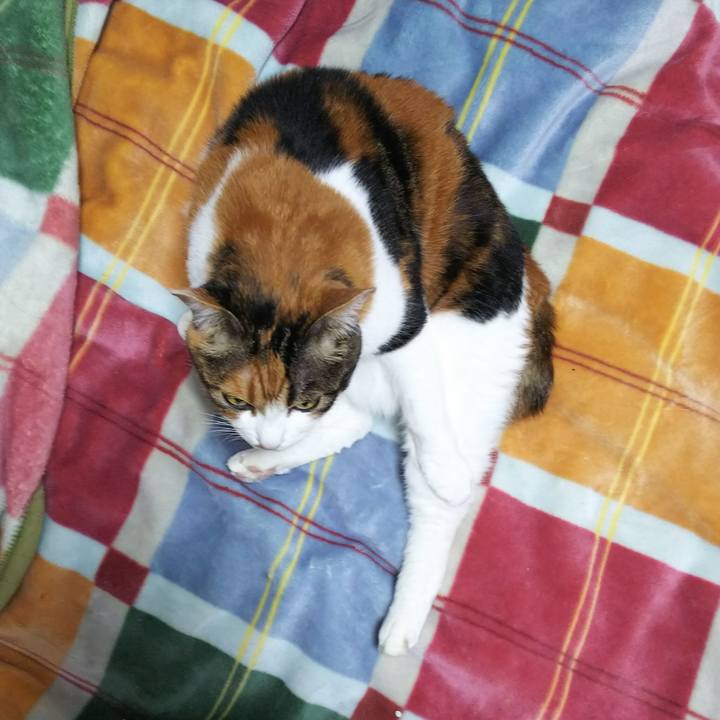 96d2cc55 a036 4759 85a4 c1f8facddd7a 1539863599744