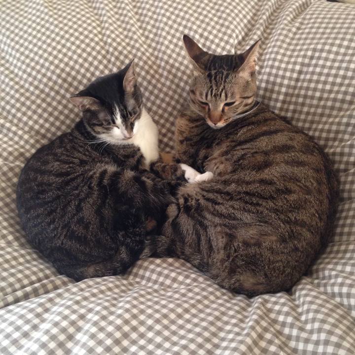 96d2d7cd 6471 4bb5 8a2a 6feb66a5aab7 1512531742980