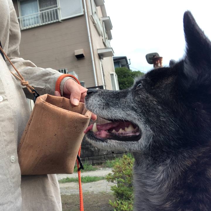 96d2e3f2 0fe0 4092 a0a5 d6e1a74b925f 1686831565180