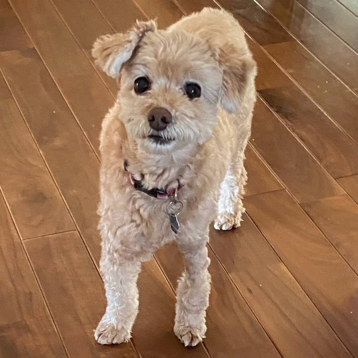 96d311f5 4ef3 4af4 ba99 094bafaff63c 1633676523664