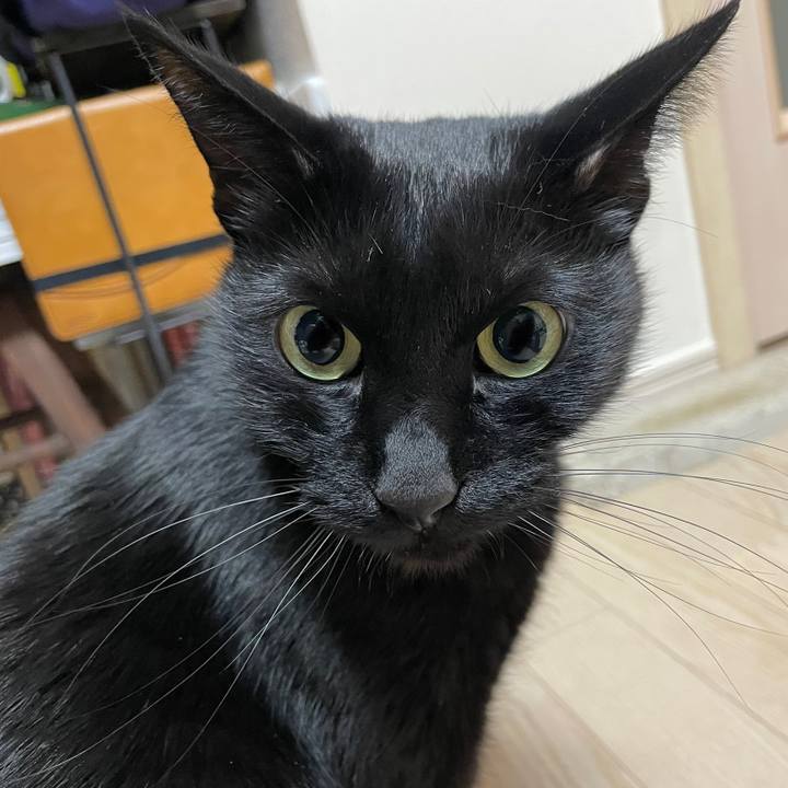 96d37c17 9e7a 499c bfc8 a8e19865da87 1641646597947