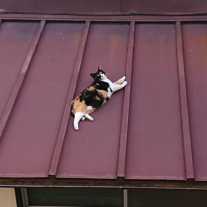 96d3909a 8efd 4bda b2c3 304099fd1c31 1564544573051