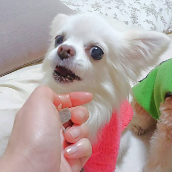 96d39a19 1dc1 4c85 884c ca9c3819bcf6 1551532745343