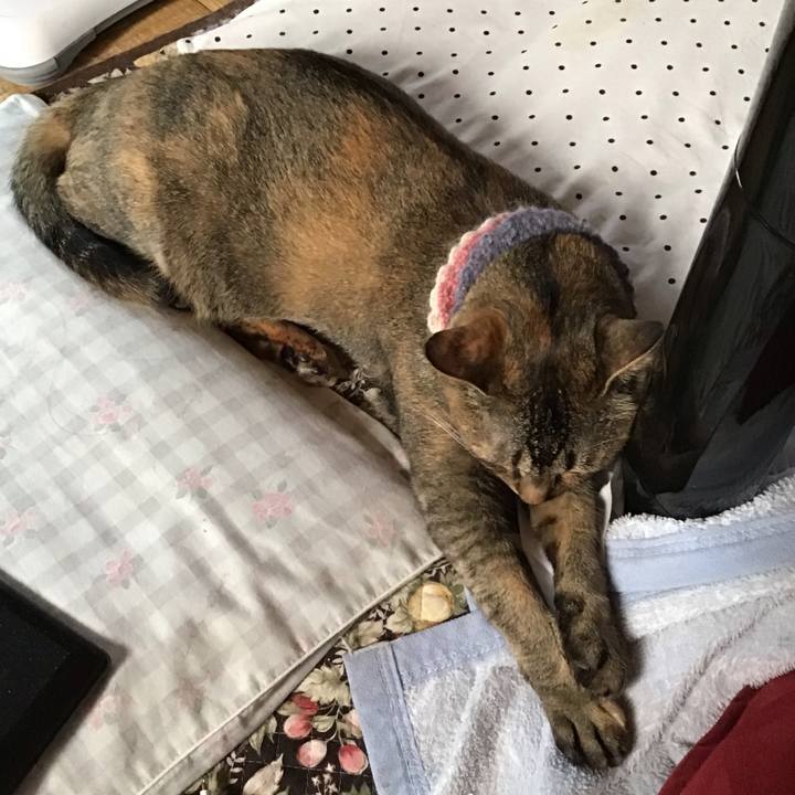 96d3b201 af6f 423b a9da 29890622cad1 1624660231814