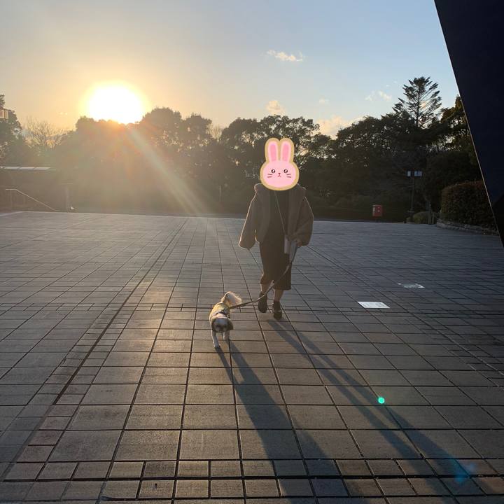 96d3c50c 58f4 4751 9864 ac8a8edba0f8 1675516431785