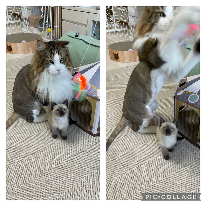 96d3cb4f 9e6c 47c8 9ff8 cf5b68b60cd5 1687125006109