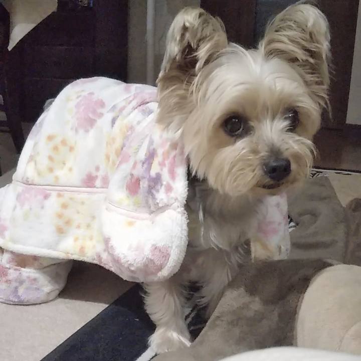 96d3ce18 7aa2 4633 9ae1 4a10962fe5c2 1705750669343