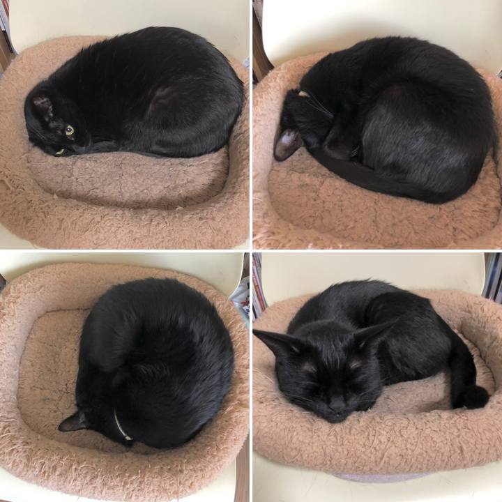 96d3d8f3 a3b4 4427 996d 216547a43a2b 1614690523578