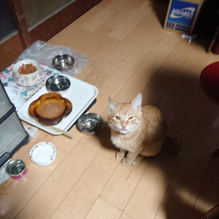 96d41244 0e1a 4878 b062 7c99dc776598 1635798676018