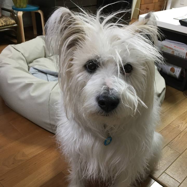 96d41a6e f5ea 4466 8aa4 a15ba560dada 1616681274818