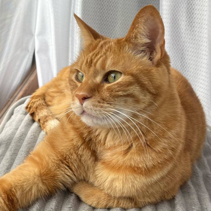 96d44a4b 7968 429c b959 6bfd60ea1826 1773815154988