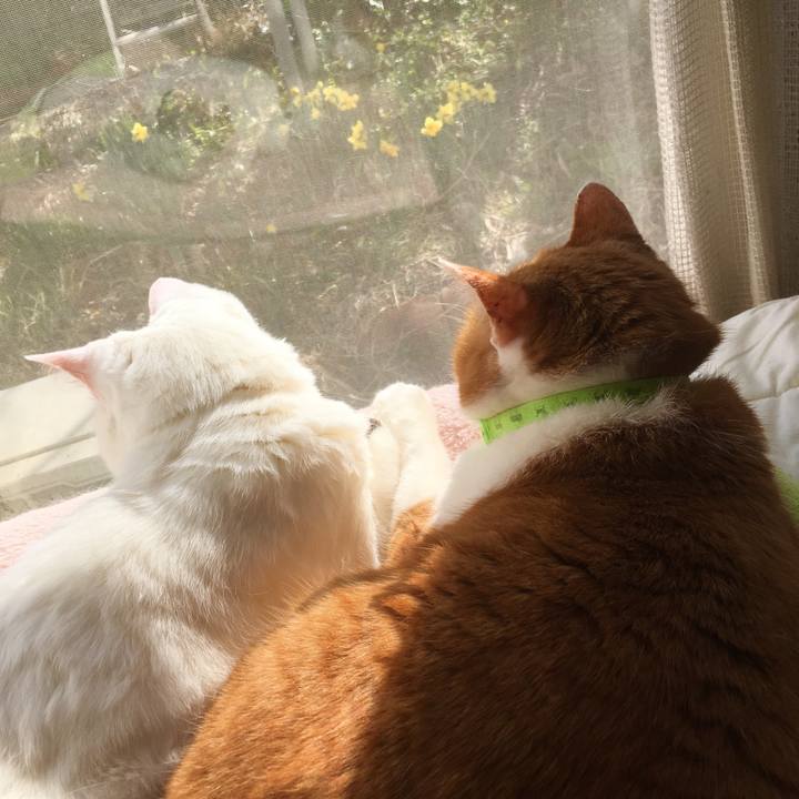 96d44b12 1f6d 4126 b18b 42b517427142 1553754305866