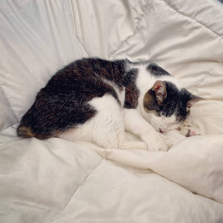 96d48474 5345 434b 8484 8673e025b310 1623985570563