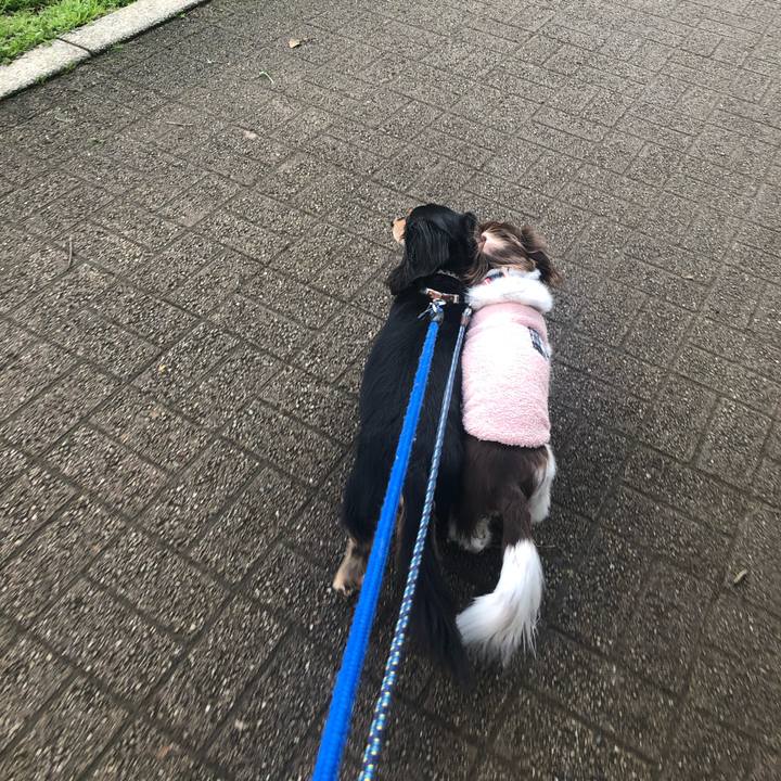 96d4a962 e606 4f91 aa38 f7cd0dc0c721 1584316085230