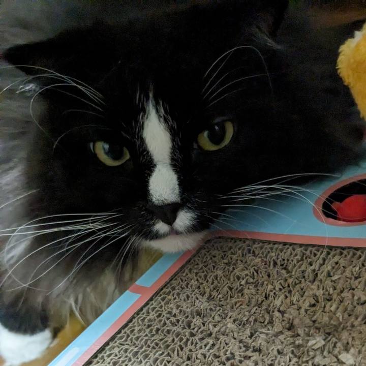 96d4b26b a180 4550 aa0f c13f88edc864 1695127120561