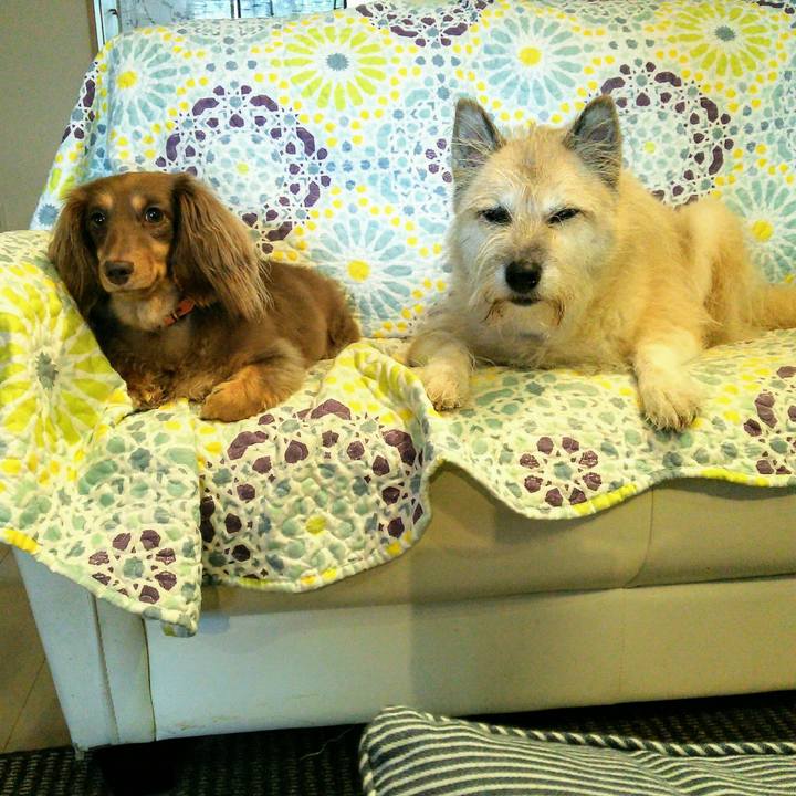 96d4f76b 0b7e 4bbd ad46 d8e7ac78bc47 1538272911204