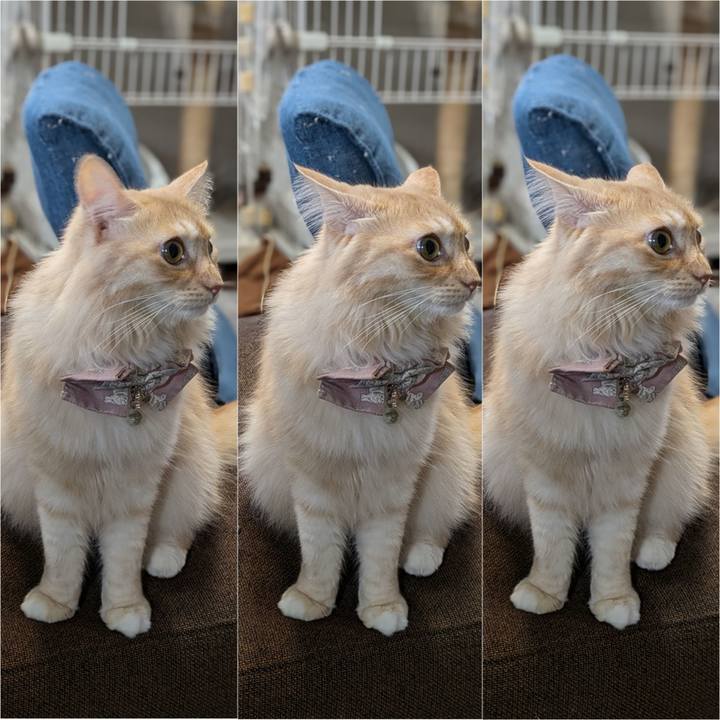 96d53453 bab2 4a5e 981c 74a1f42dc15f 1729851624341