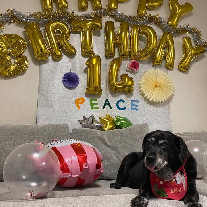 96d54a11 0029 4c3c bcd4 3bdd71ef14f2 1701087628114